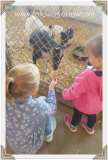 girls-feeding-goats2