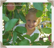 hayden-appletree2