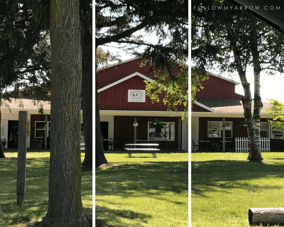 APPLE PICKING AT MCCALLUM’S ORCHARD