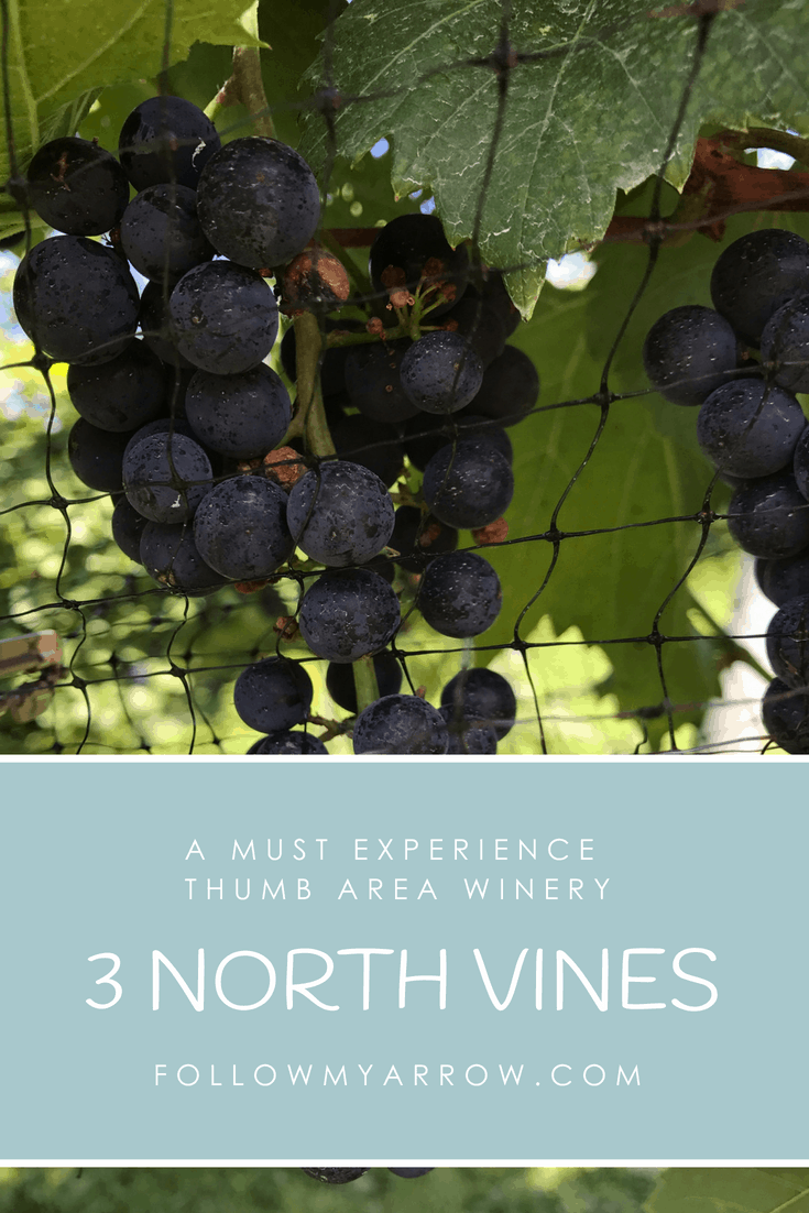 3 North Vines