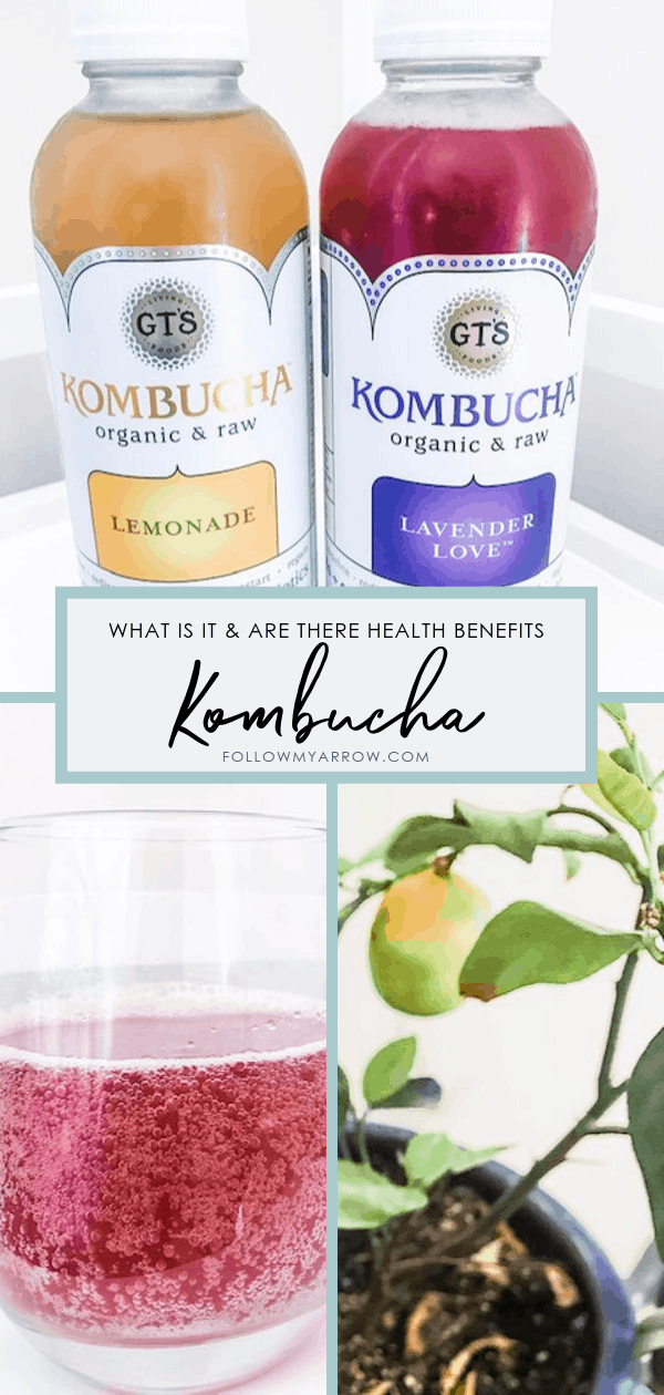 The Hype about Kombucha!